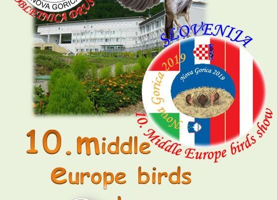 10 middle europe birds show 2019