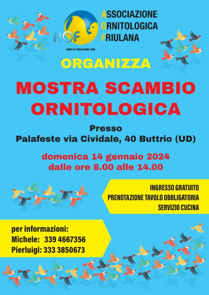 mostra